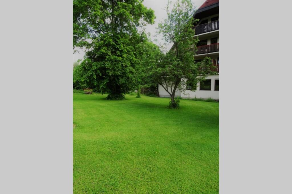 Modernes Apartment Mit Traumhaftem Blick Ins Gruene Braunlingen Exterior photo